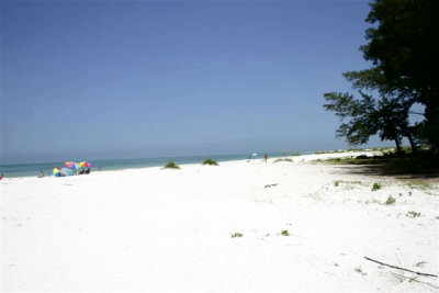 115 Elm - Nearby Beach