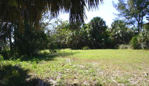 303 South Bay LOT