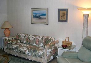 784nshore-down-living2