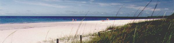 Gulf of Mexico beach