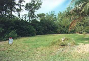 514 Magnolia - Lot